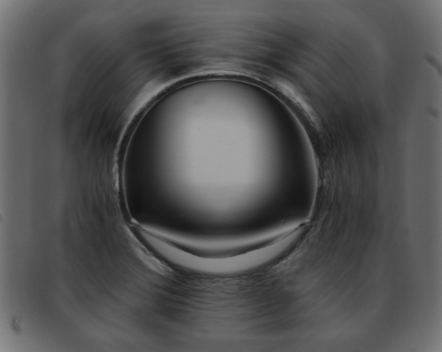 X0000093441372200710121324