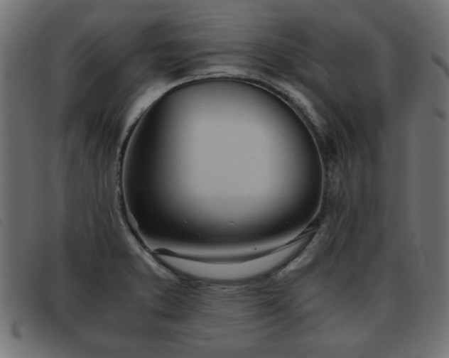 X0000093441373200710121324