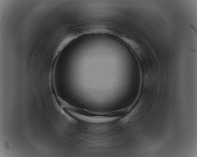 X0000093441374200710121324