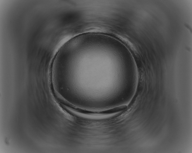 X0000093441375200710121324