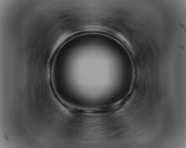 X0000093441376200710121324