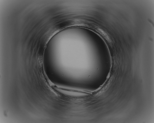 X0000093441377200710121324