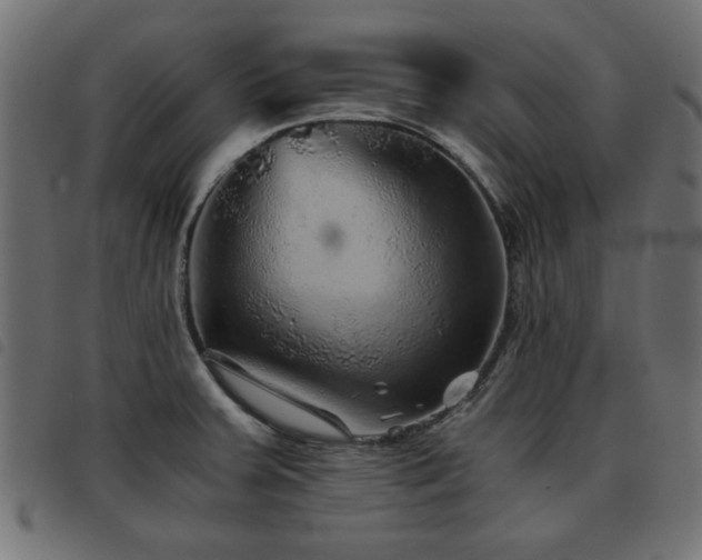X0000093441379200710121324