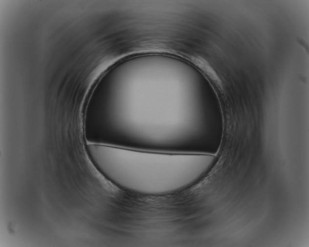 X0000093441380200710121324