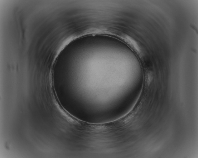 X0000093441382200710121324