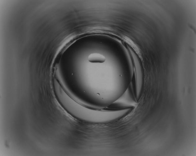 X0000093441384200710121324