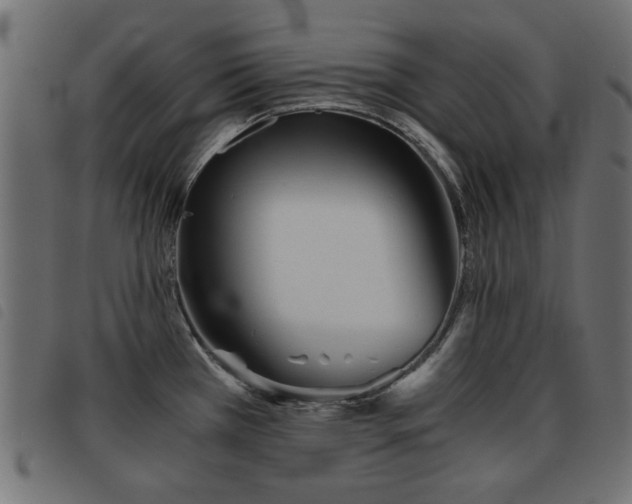X0000093441385200710121324