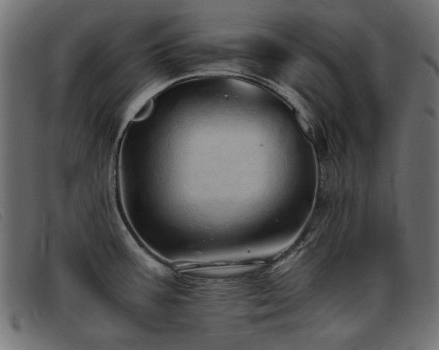 X0000093441387200710121324