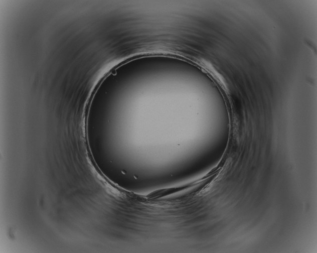 X0000093441388200710121324