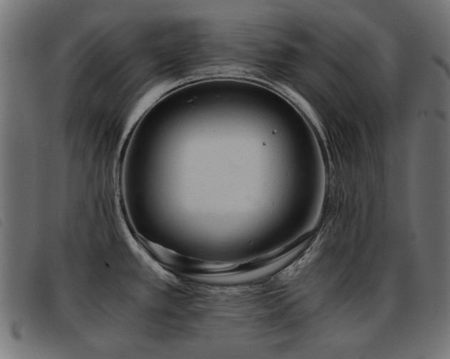 X0000093441389200710121324