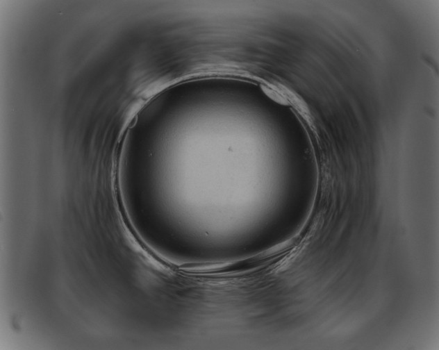 X0000093441390200710121324
