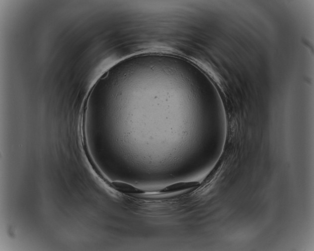 X0000093441391200710121324