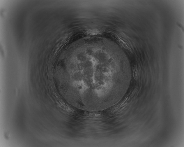X0000093441393200710121323