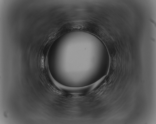 X0000093441394200710121323