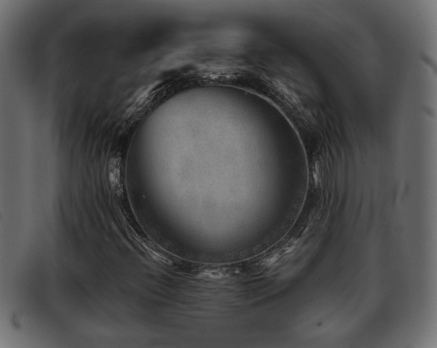 X0000093441396200710121323