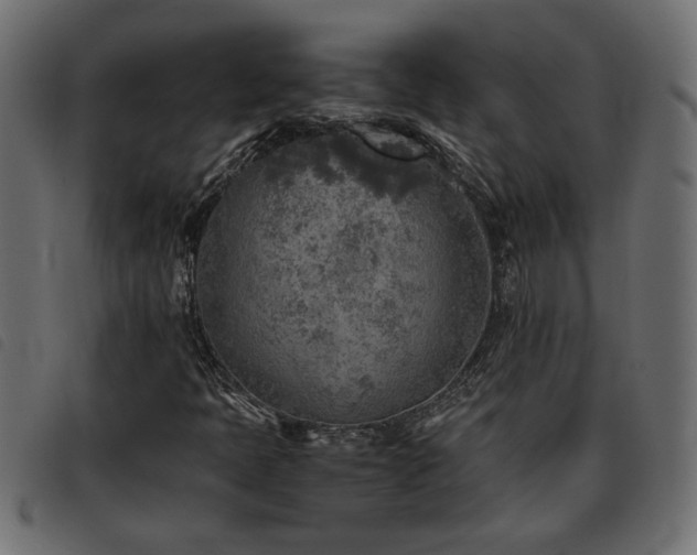 X0000093441397200710121323
