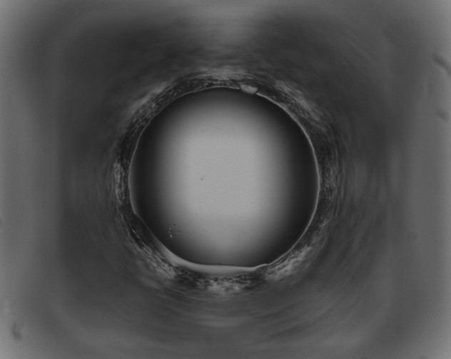 X0000093441398200710121323