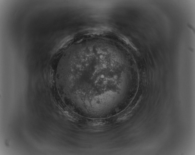 X0000093441399200710121323