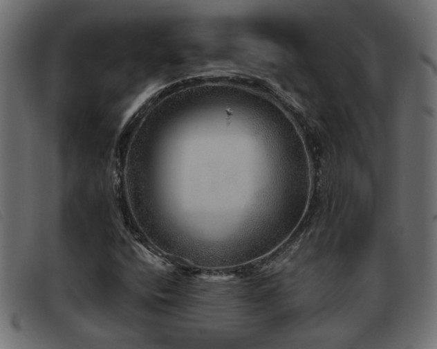 X0000093441400200710121323