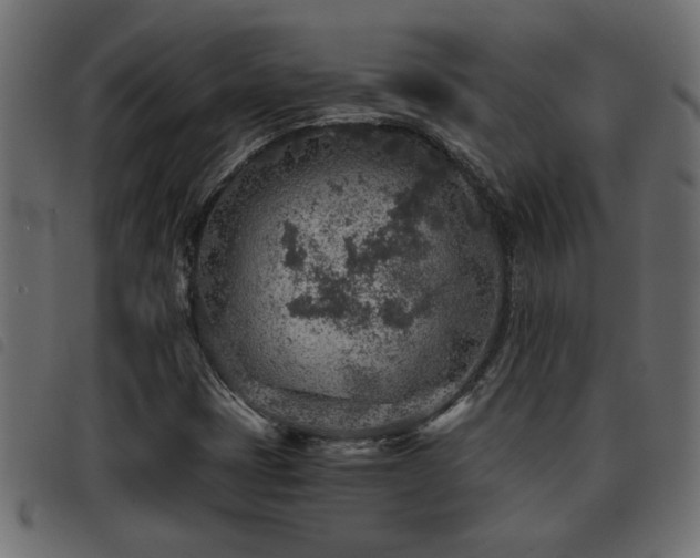 X0000093441401200710121323