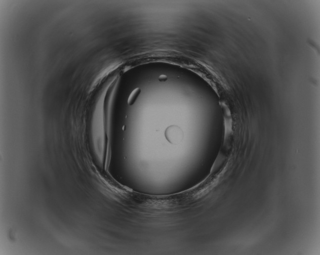 X0000093441402200710121323