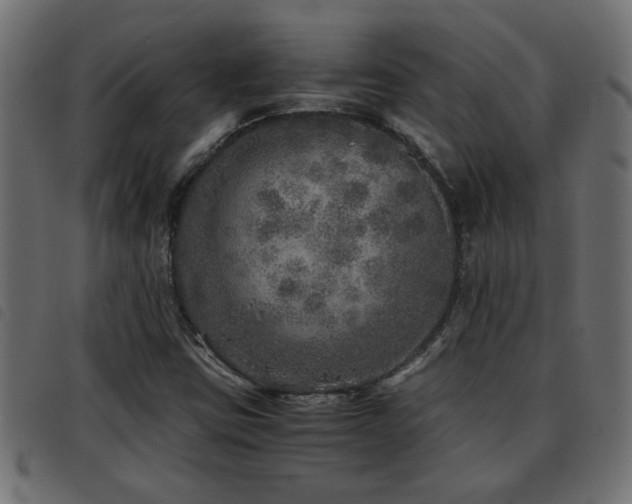 X0000093441403200710121323