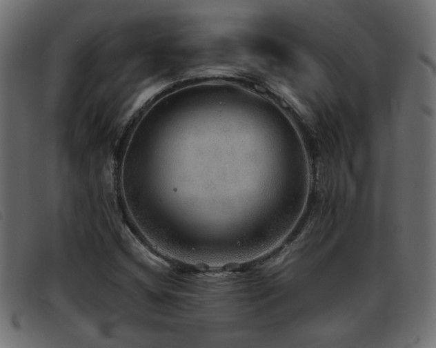 X0000093441404200710121323