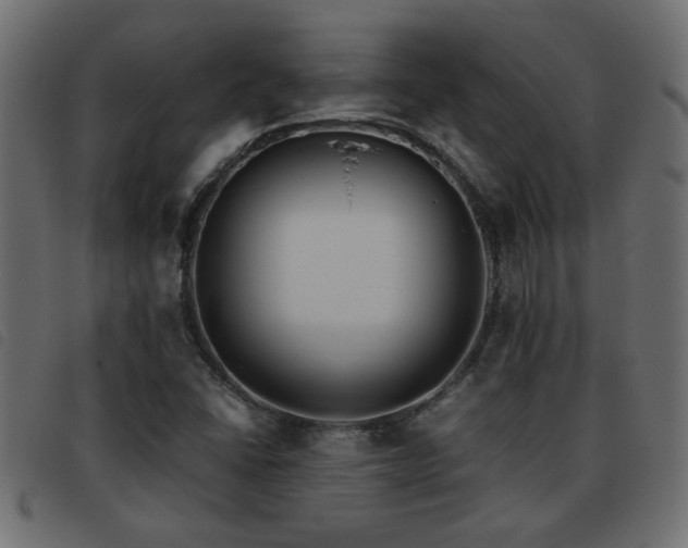 X0000093441406200710121323
