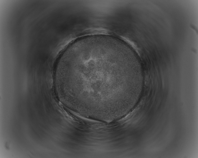 X0000093441407200710121323