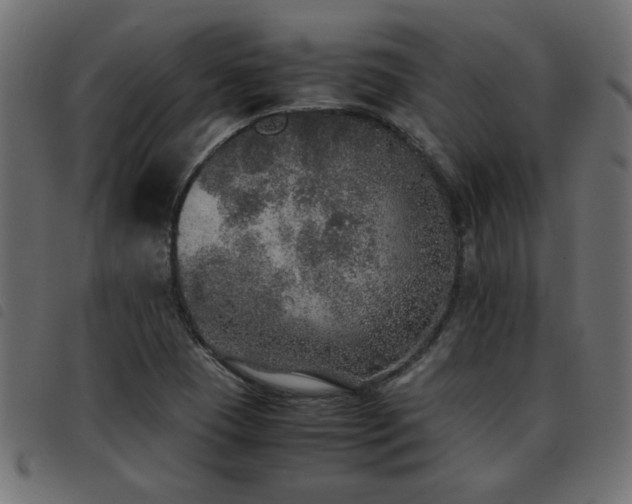 X0000093441409200710121323