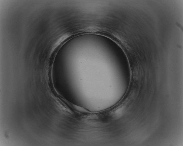 X0000093441410200710121323
