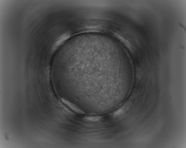 X0000093441411200710121323
