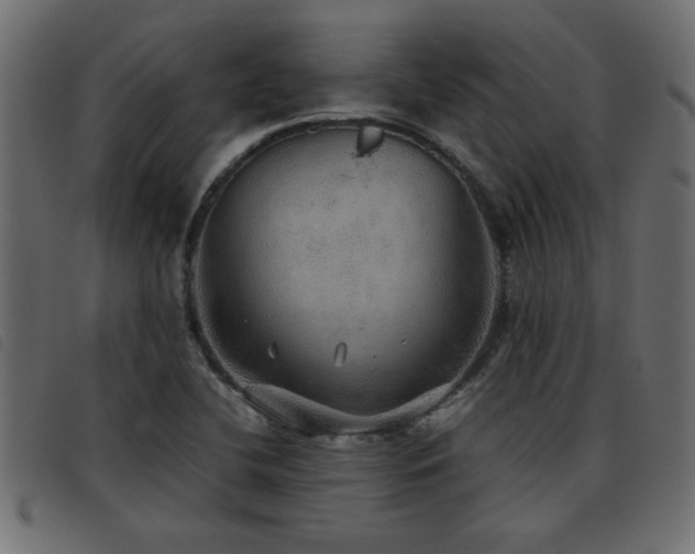 X0000093441412200710121323