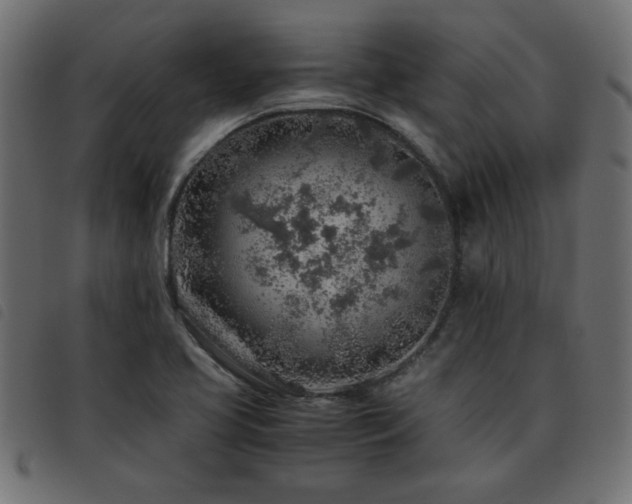 X0000093441413200710121323