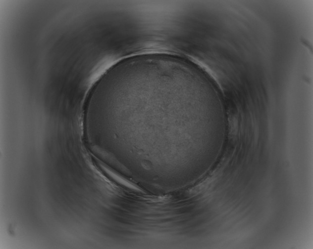 X0000093441415200710121323