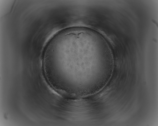 X0000093441416200710121323