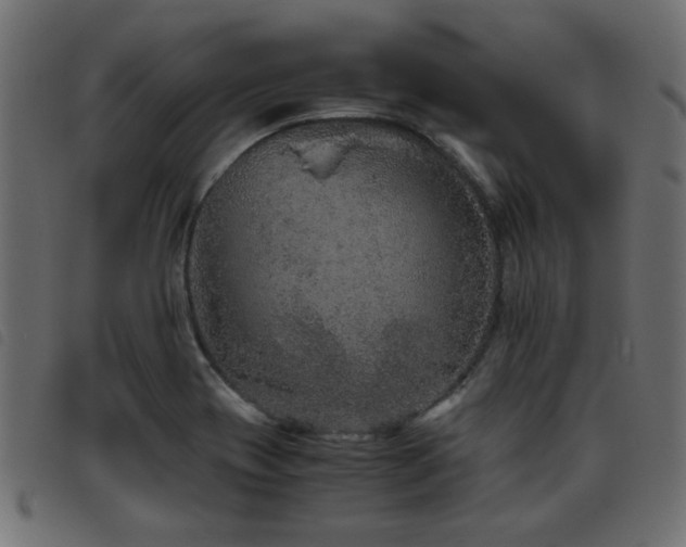 X0000093441417200710121323