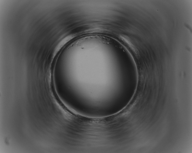 X0000093441418200710121323