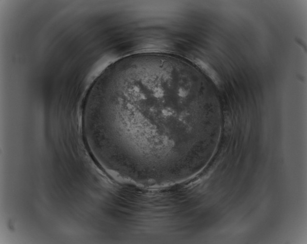 X0000093441419200710121323
