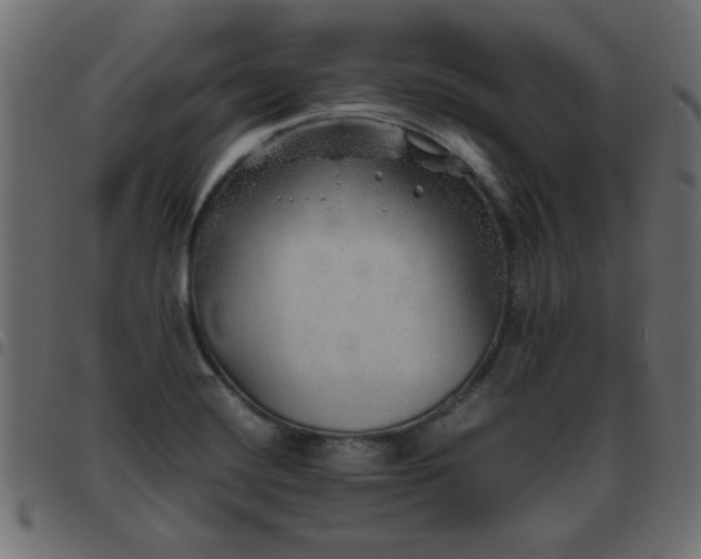 X0000093441420200710121323