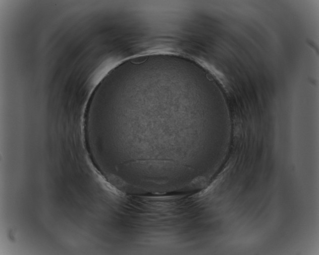 X0000093441423200710121323