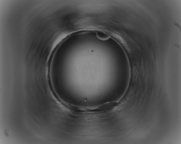X0000093441424200710121323