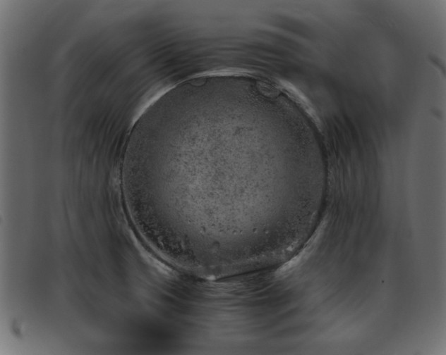 X0000093441425200710121323