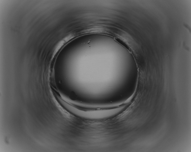 X0000093441426200710121323