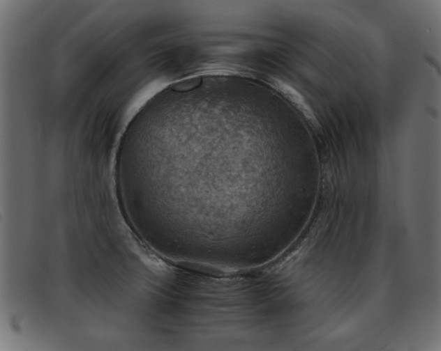 X0000093441427200710121323