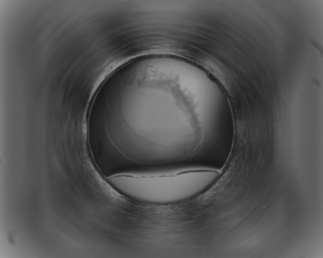 X0000093441428200710121323