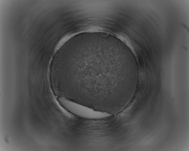 X0000093441429200710121323