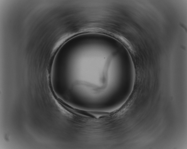X0000093441430200710121324