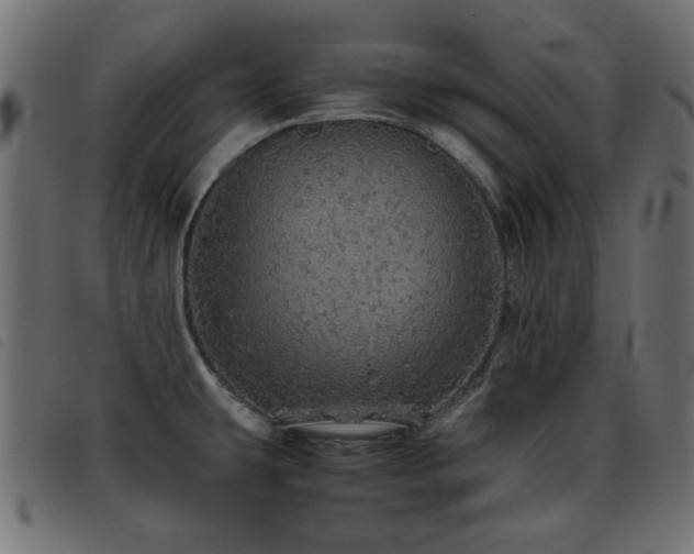 X0000093441431200710121324