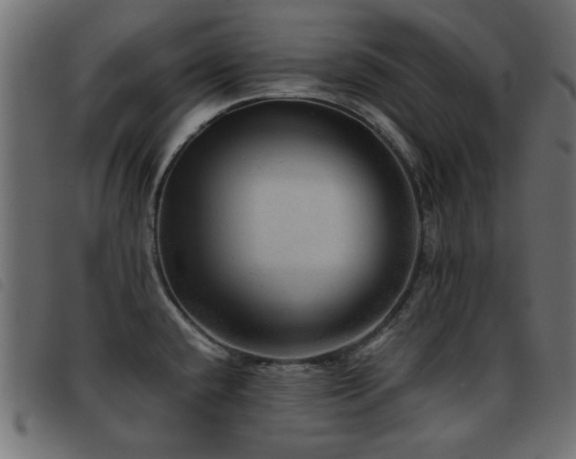 X0000093441432200710121324